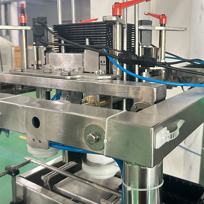 Fully Automatic Weighing Package Frozen Fish Chicken Turkey Beef Meatballs Packaging Machine  Meat Packing Machine for Ribs