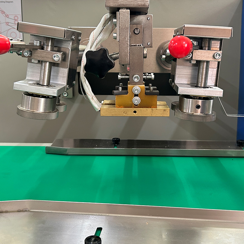 স্বয়ংক্রিয় সবজি/তাজা ফল বালিশ ব্যাগ প্যাকিং মেশিনারি