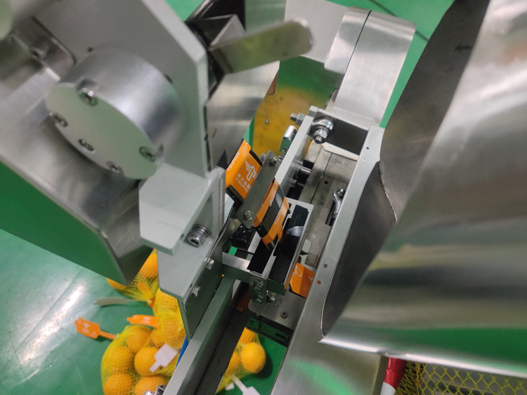 শাকসবজি, ফল, আদা, আলু, সাইট্রাস ফল প্যাকিংয়ের জন্য স্বয়ংক্রিয় নেট ব্যাগ প্যাকিং মেশিন ওজন সীমা 3g-5000g