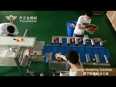 12 Belt Combination Weigher——The best choice for weighing fresh fruits and vegetables