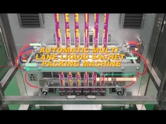 TOUPACK মাল্টি-লেন ব্যাক সিল প্যাকেজিং মেশিন দানাদার পাউডার তরল প্যাকিং মেশিন