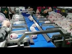 কার্টোনিং লাইন এবং বালিশ প্যাকেজিং মেশিনের সাথে টুপ্যাক অ্যাপল ওজনের 12 হেড কম্বিনেশন ওজনকারী