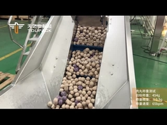 TOUPACK ফ্রিজড মিটবল ওয়েজিং এবং প্যাকেজিং সিস্টেম