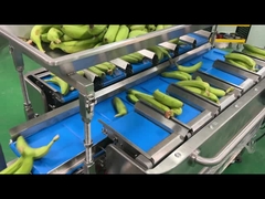 কারখানা শিল্প আধা স্বয়ংক্রিয় জাল নেট ব্যাগ ওজন গণনা জাল কাটা প্যাকিং প্যাকেজিং মেশিন