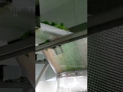 স্যালাডের মাল্টিহেড ওয়েজিং প্যাকিং মেশিন