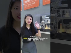 ভ্যালভ ব্যাগ ওজন ভরাট মেশিন