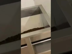 কফি বিন লিনিয়ার ওয়েজার ফিলিং প্যাকিং মেশিন