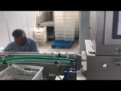 খাদ্য শিল্পের জন্য স্বয়ংক্রিয় ইলেকট্রনিক্স এক্স-রে পরিদর্শন মেশিন এক্স রে পরিদর্শন সিস্টেম