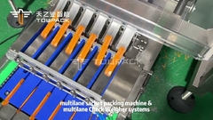 মাল্টি-ল্যান চেকওয়েজার সহ ইন্ডাস্ট্রিয়াল মাল্টি-ল্যান স্টিক স্যাচেট প্যাকিং মেশিন