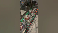 তোতা পাখির খাবার পোষা প্রাণীর খাবার VFFS বাদাম দানা হিমায়িত শুকনো ফল প্যাকেজিং মেশিন শুকনো ফলের জন্য